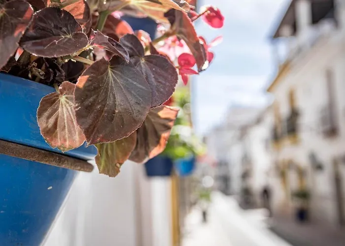 A7- Seaclub By Roomservices