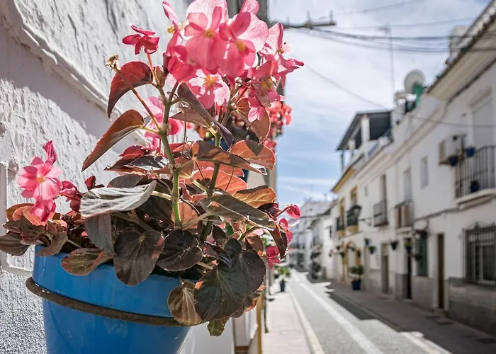 Lägenhet A7- Seaclub By Roomservices