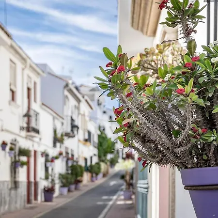 Seaclub Appartement *